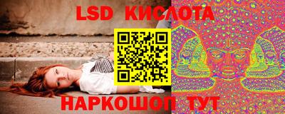 стаф Аргун