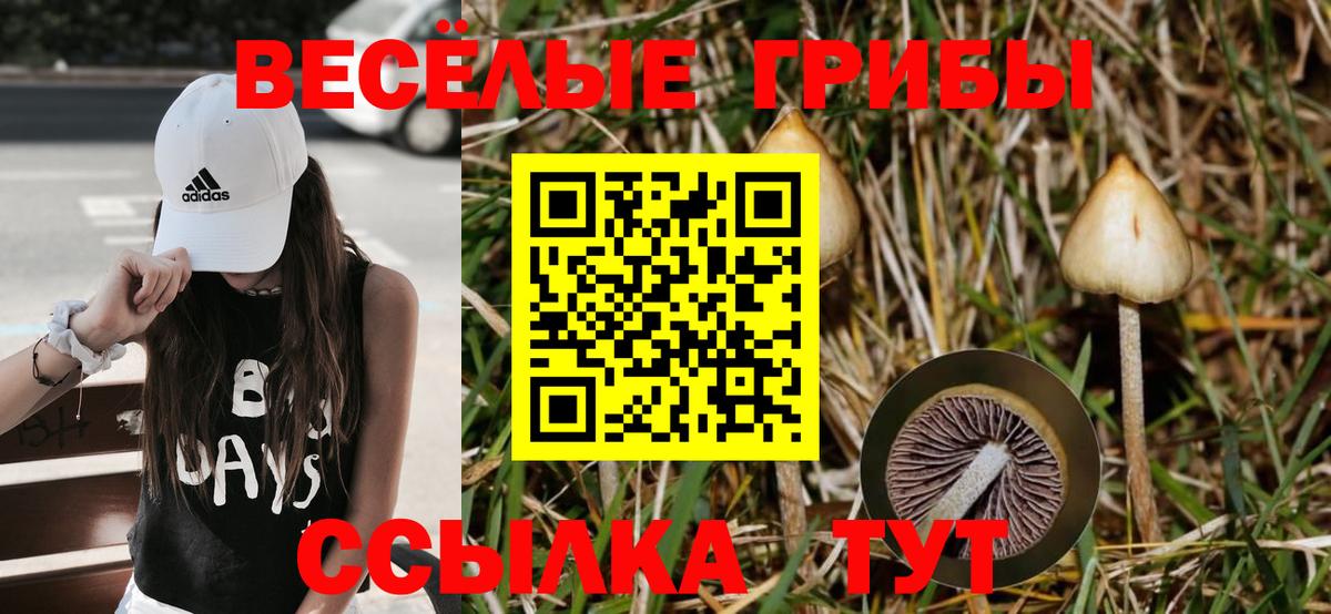 Апшеронск  Псилоцибиновые грибы Magic Shrooms  Вход с VPN 